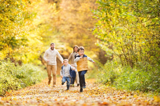 Family running through the forest