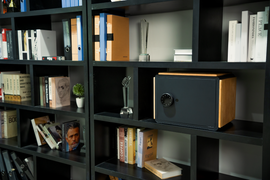 Smart Safe OX Pro