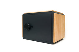 Smart Safe OX Pro